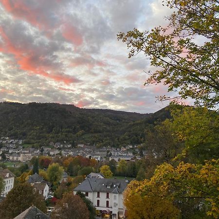 Logis Hotel Bel Horizon Vic-sur-Cère Kültér fotó