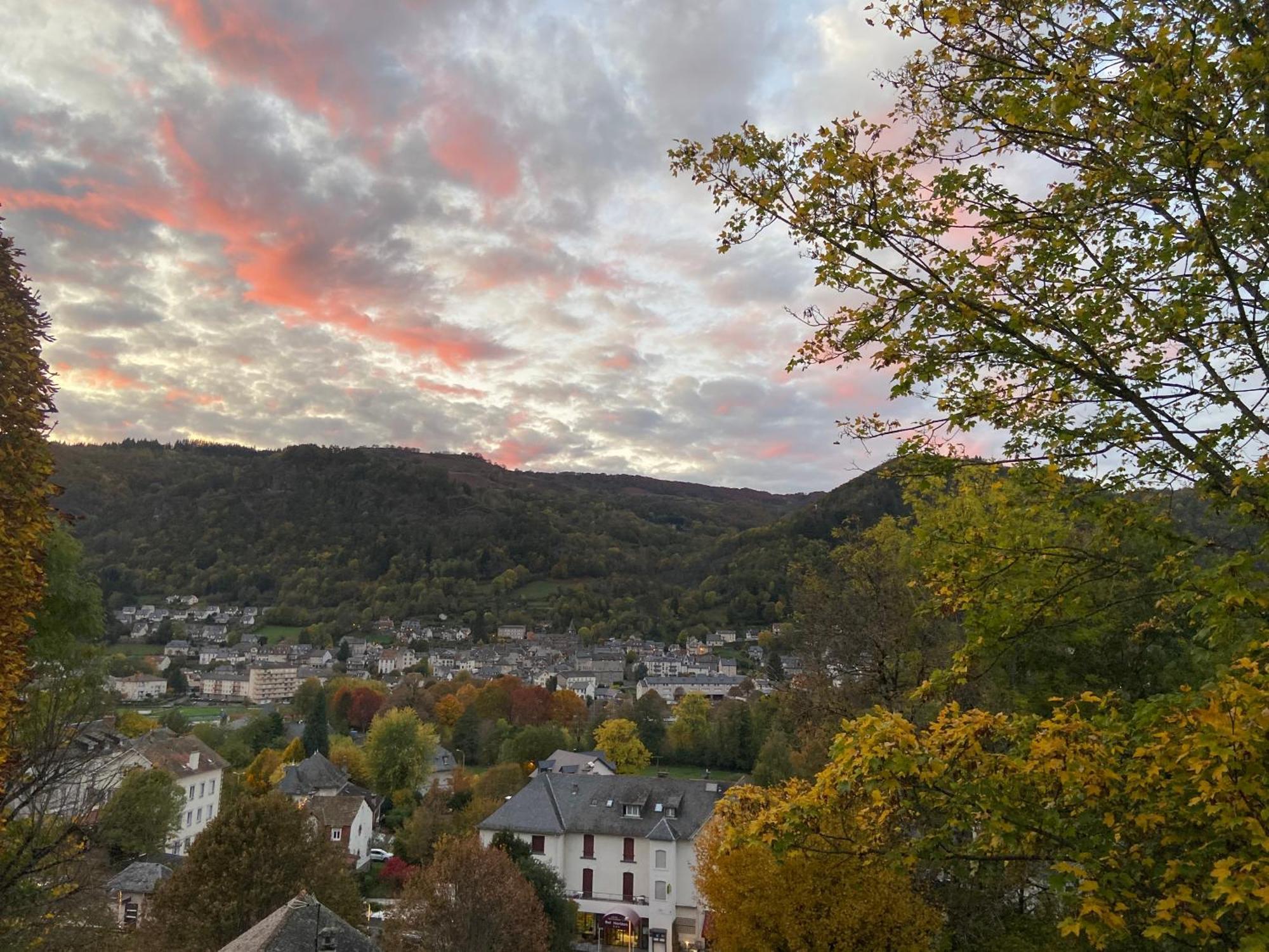 Logis Hotel Bel Horizon Vic-sur-Cère Kültér fotó