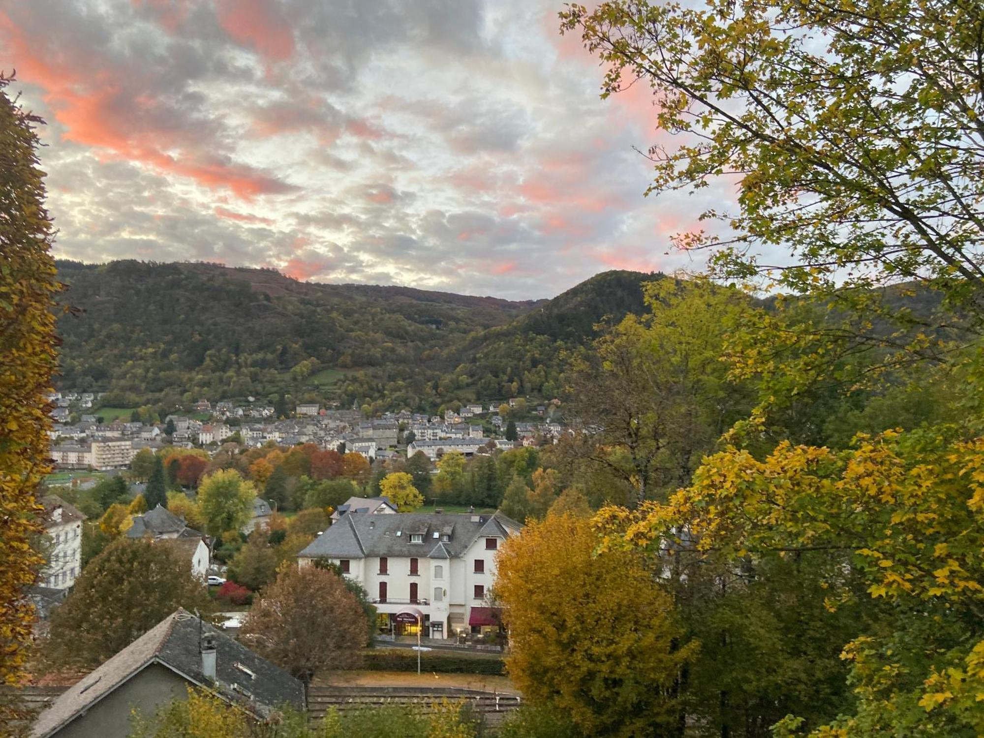 Logis Hotel Bel Horizon Vic-sur-Cère Kültér fotó